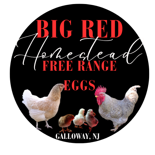 Big Red Homestead