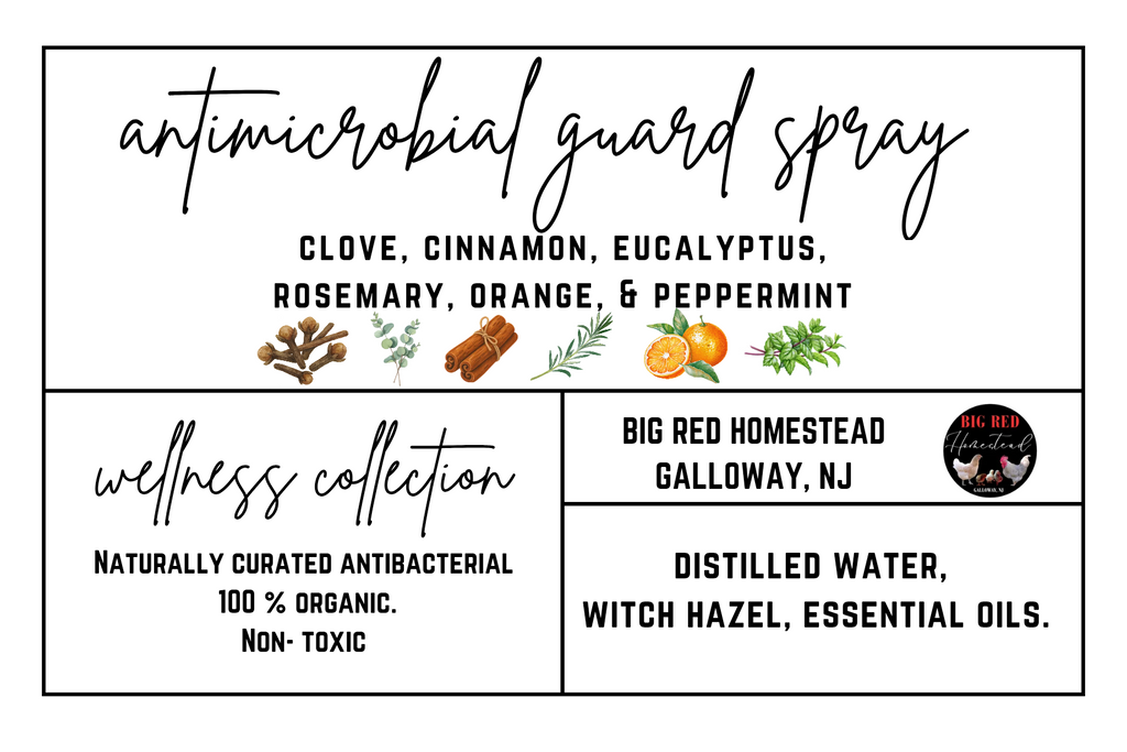 Antimicrobial guard spray